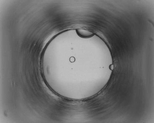 X0000103951091200809191205