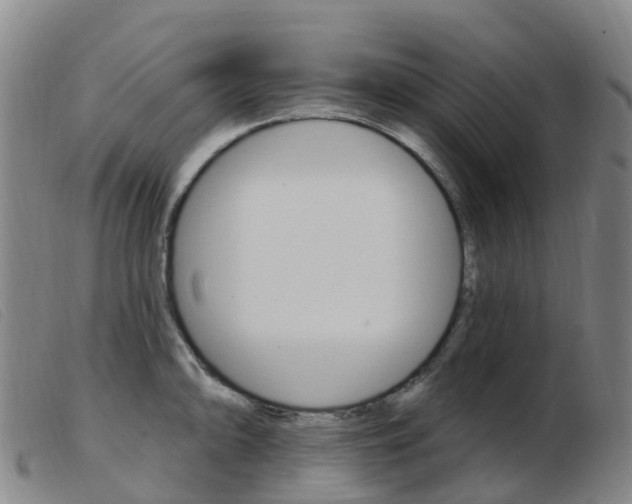 X0000103951094200809191205