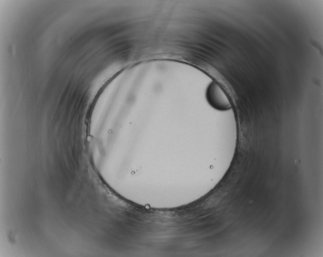 X0000103951096200809191205