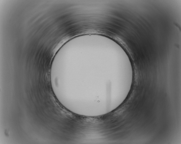 X0000103951097200809191205