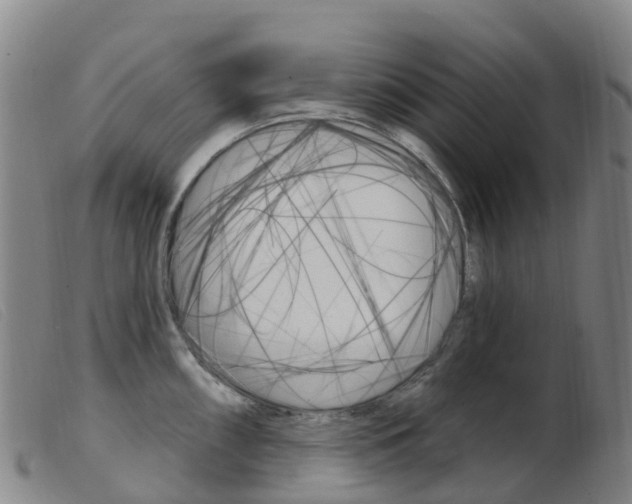 X0000103951098200809191205