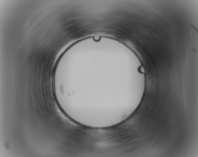 X0000103951100200809191205