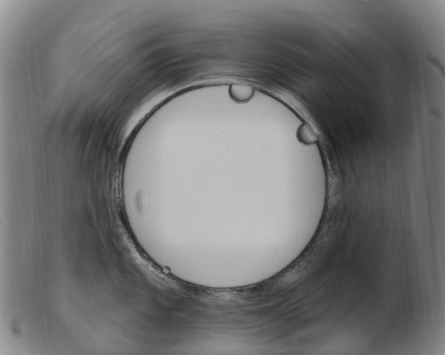 X0000103951101200809191205