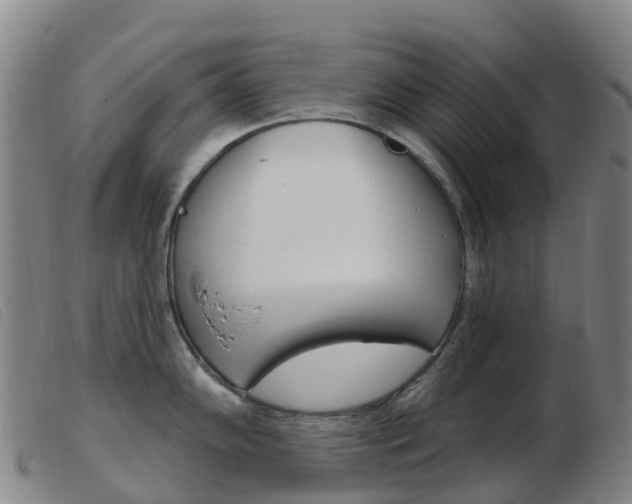 X0000103951102200809191205
