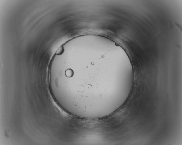 X0000103951103200809191205
