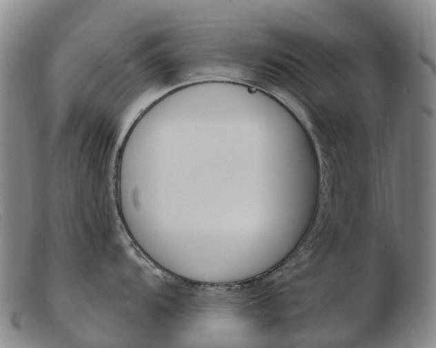 X0000103951104200809191205