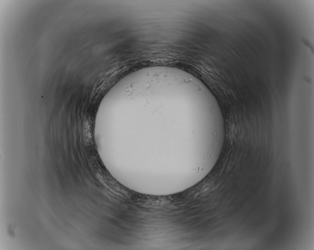X0000103951106200809191204