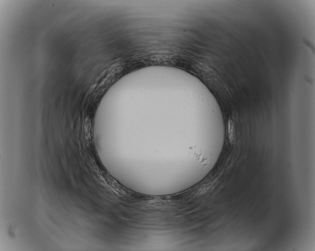 X0000103951107200809191204
