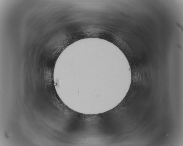 X0000103951108200809191204