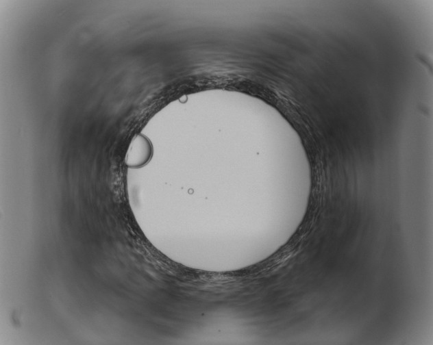 X0000103951109200809191204