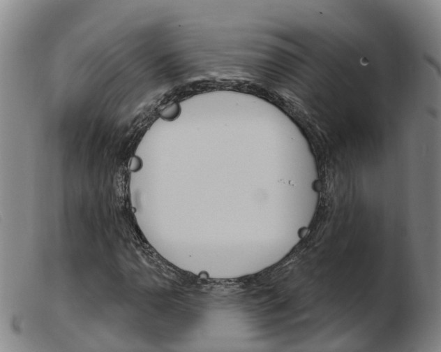 X0000103951110200809191204