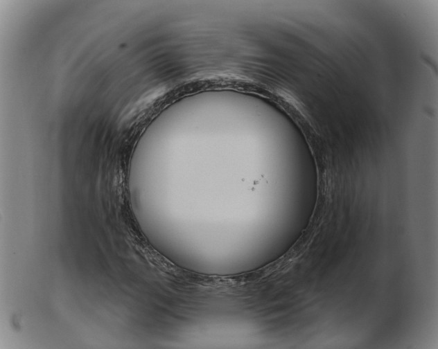 X0000103951111200809191204