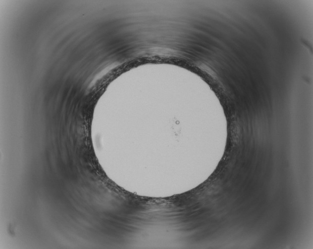 X0000103951112200809191204