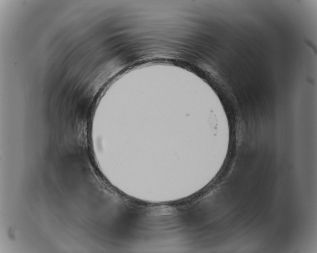 X0000103951113200809191204