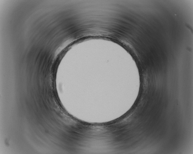X0000103951114200809191204