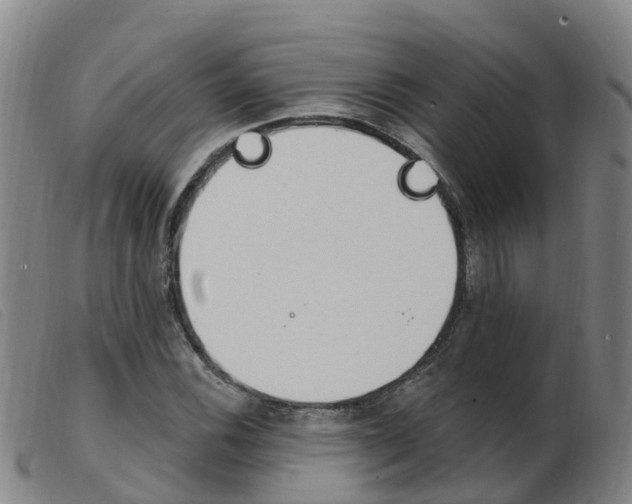 X0000103951116200809191205