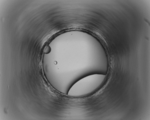 X0000103951117200809191205