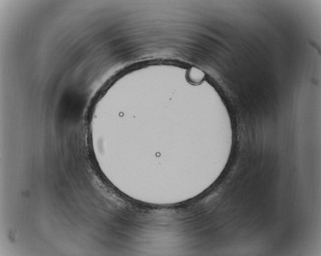 X0000103951118200809191205