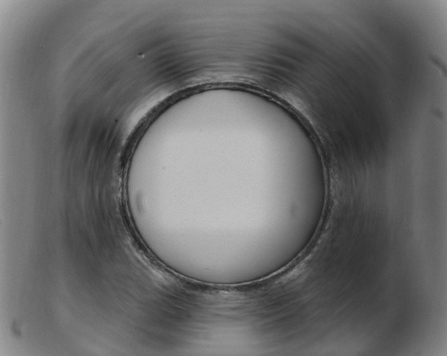 X0000103951119200809191205