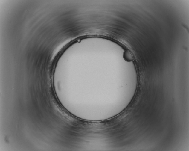 X0000103951120200809191205