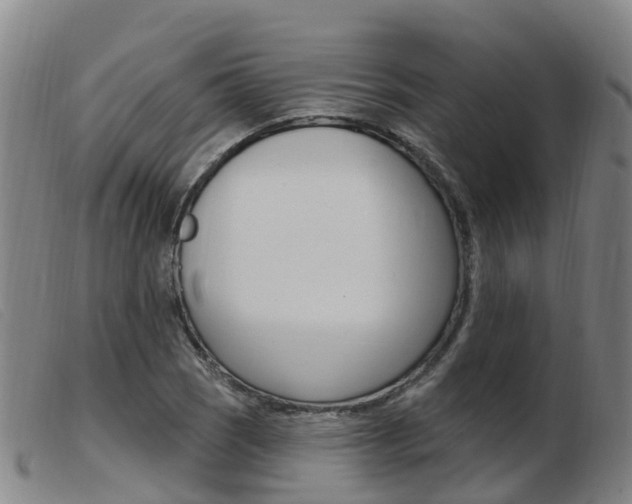 X0000103951121200809191205