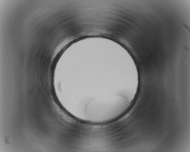 X0000103951122200809191205