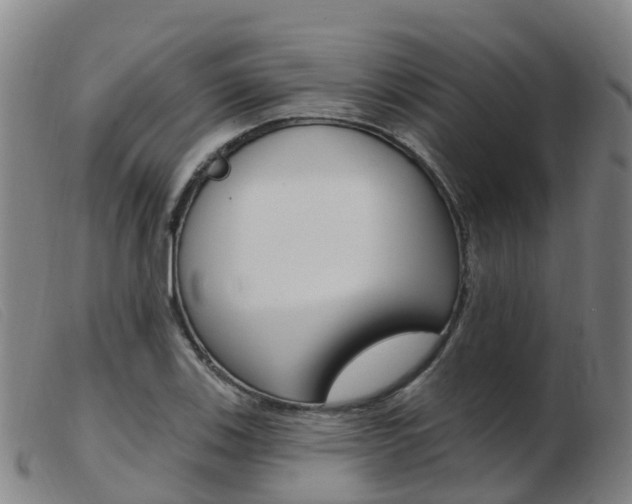 X0000103951123200809191205