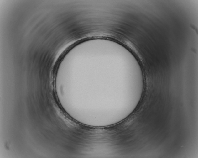 X0000103951124200809191205