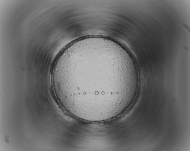 X0000103951125200809191205
