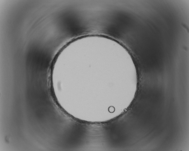 X0000103951126200809191205