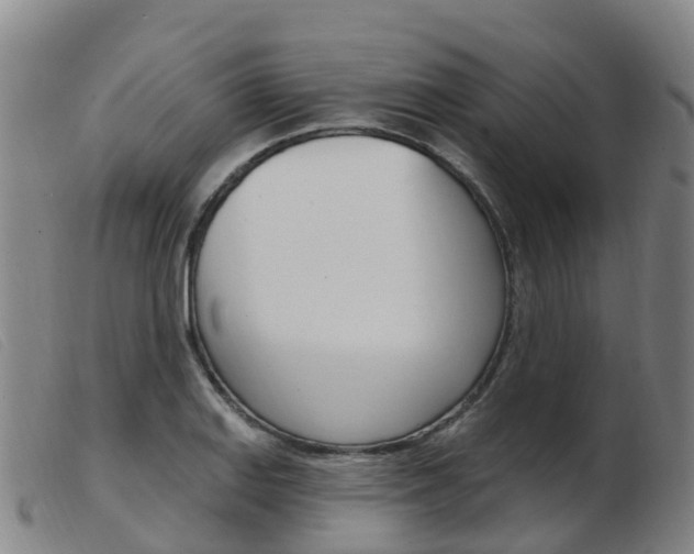 X0000103951127200809191205
