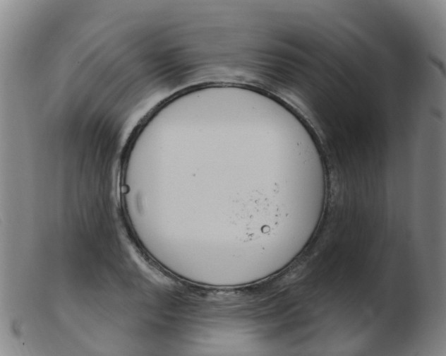 X0000103951128200809191205
