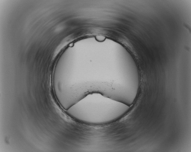X0000103951130200809191205