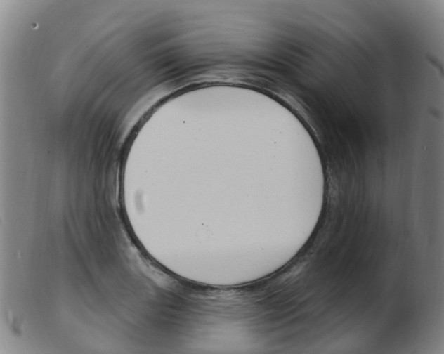 X0000103951131200809191205