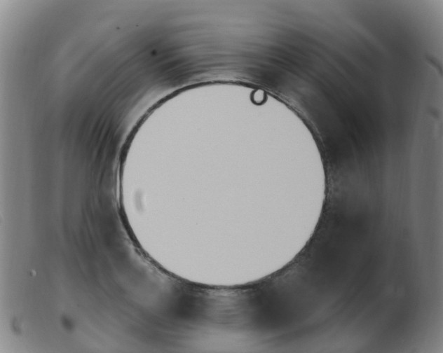 X0000103951132200809191205