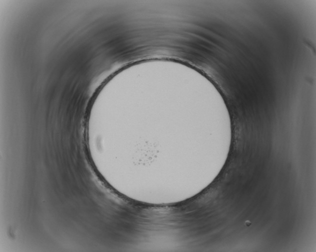 X0000103951134200809191205
