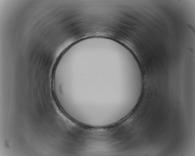 X0000103951135200809191205