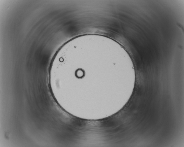 X0000103951136200809191205