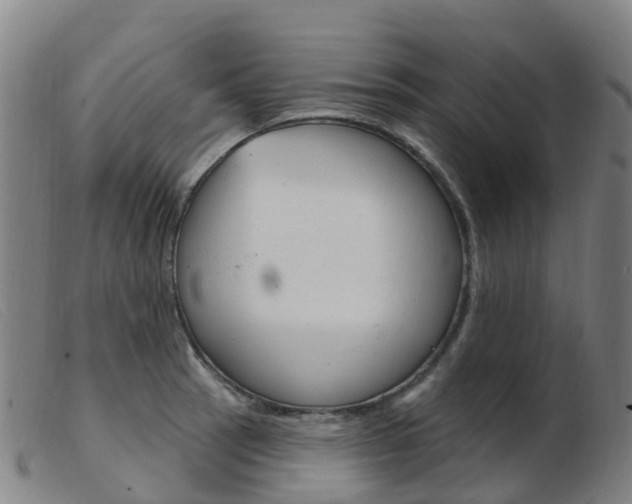 X0000103951137200809191205