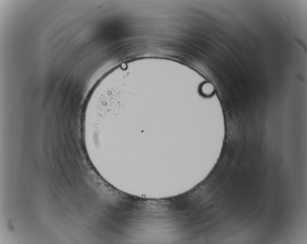 X0000103951138200809191205