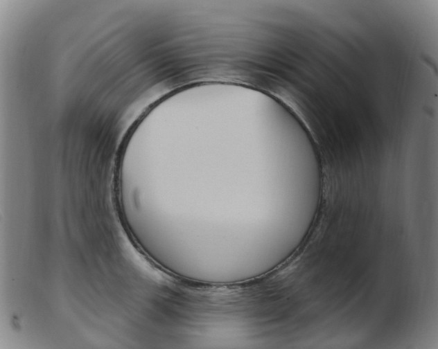 X0000103951139200809191205