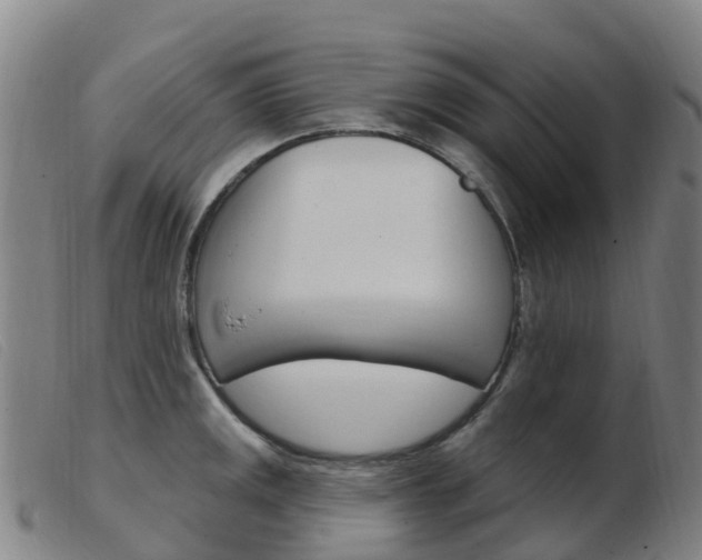 X0000103951141200809191205