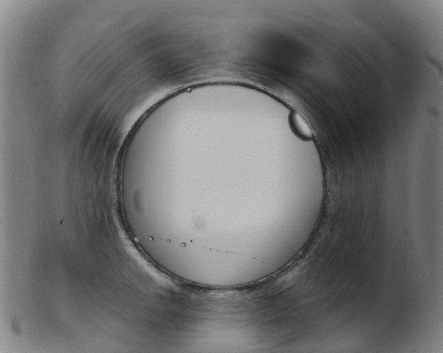 X0000103951142200809191205