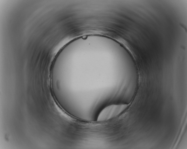 X0000103951143200809191205