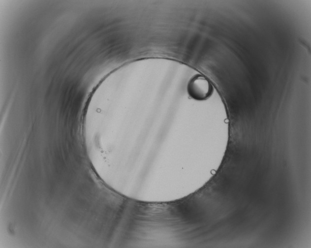 X0000103951144200809191205