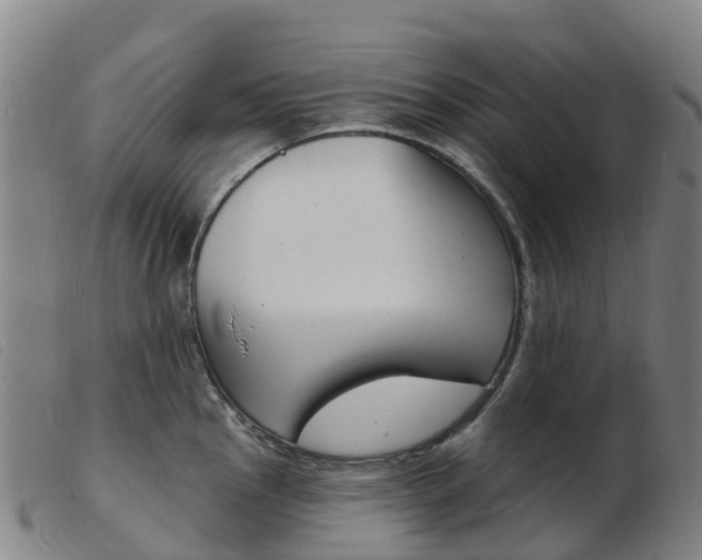 X0000103951145200809191205