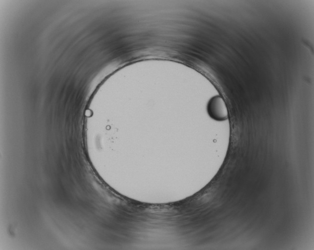 X0000103951146200809191205