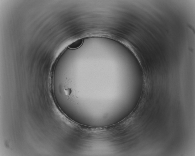 X0000103951147200809191205