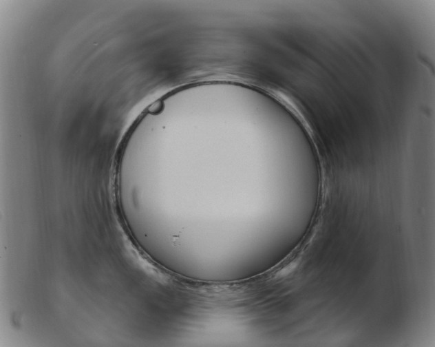 X0000103951149200809191205