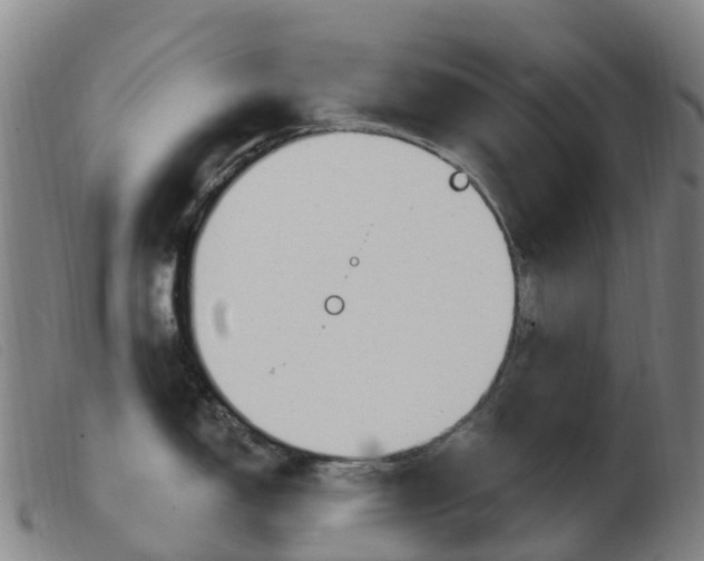 X0000103951150200809191205